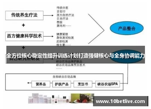 全方位核心稳定性提升训练计划打造强健核心与全身协调能力