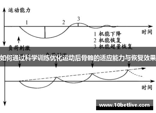 如何通过科学训练优化运动后骨骼的适应能力与恢复效果