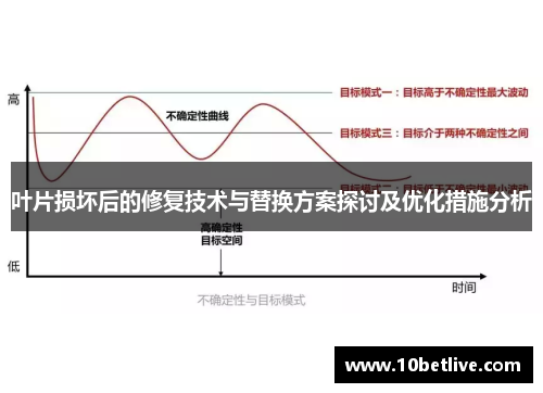 叶片损坏后的修复技术与替换方案探讨及优化措施分析